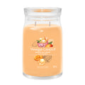Yankee Candle Mango Ice Cream Signature Large Jar