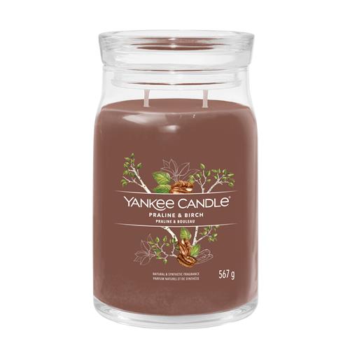 Yankee Candle Praline & Birch Signature Large Jar